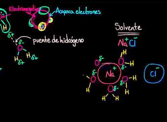 El agua como solvente | Agua, ácidos y bases | Biología | Khan Academy en Español