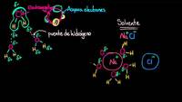 El agua como solvente | Agua, ácidos y bases | Biología | Khan Academy en Español