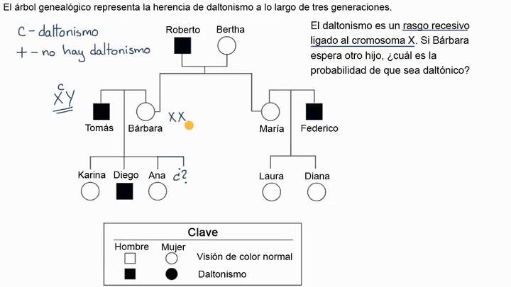 Árbol genealógico para determinar la probabilidad de presentar un rasgo recesivo ligado al sexo