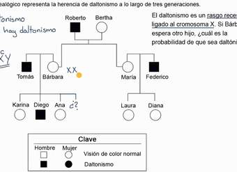 Árbol genealógico para determinar la probabilidad de presentar un rasgo recesivo ligado al sexo