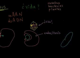 Virus | Herencia y evolución | Biología | Khan Academy en Español