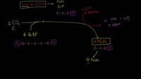 Fotosíntesis: ciclo de Calvin | Fotosíntesis | Biología | Khan Academy en Español