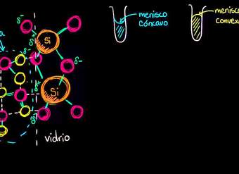 Acción capilar y por qué vemos un menisco | Biología | Khan Academy en Español