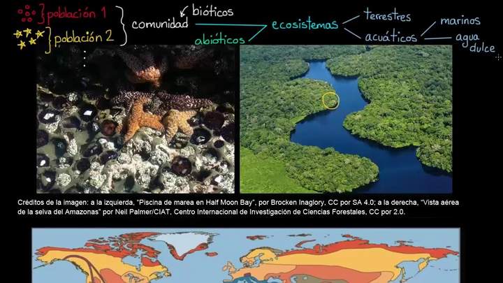 Ecosistemas y biomas | Ecología | Biología | Khan Academy en Español