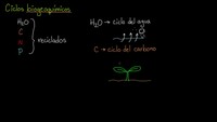 Repaso de los ciclos biogeoquímicos | Ecología | Biología | Khan Academy en Español