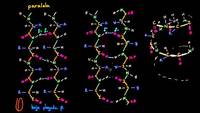 Introducción a la estructura de las proteínas | Macromoléculas | Biología | Khan Academy en Español