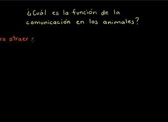 Comunicación animal | Biología | Khan Academy en Español