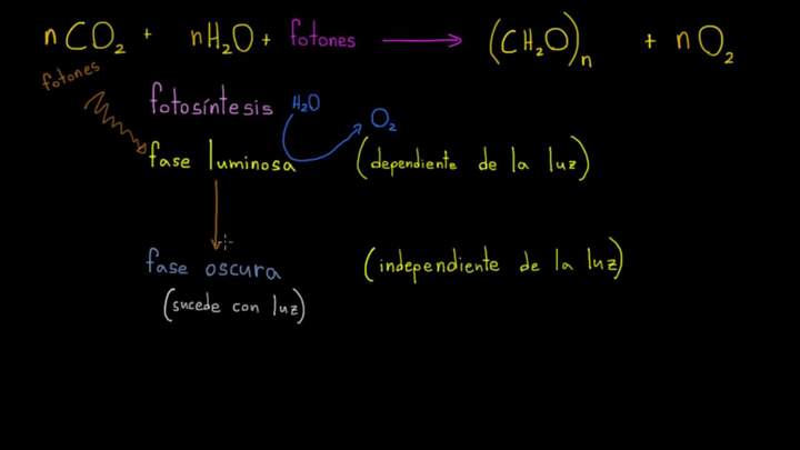 Fotosíntesis | Fotosíntesis | Biología | Khan Academy en Español