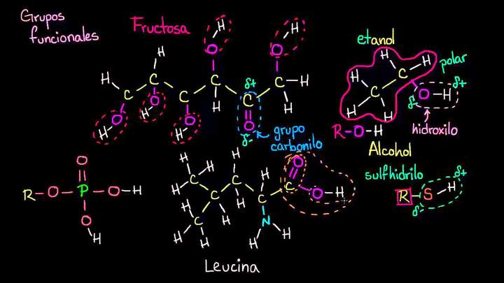 Grupos funcionales | Las propiedades del carbono | Biología | Khan Academy en Español