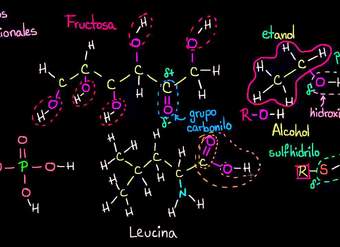 Grupos funcionales | Las propiedades del carbono | Biología | Khan Academy en Español