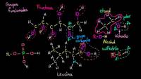 Grupos funcionales | Las propiedades del carbono | Biología | Khan Academy en Español