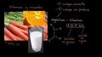 Introducción a las vitaminas y los minerales | Khan Academy en Español