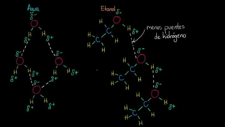 Calor de vaporización del agua y del etanol | Biología | Khan Academy en Español