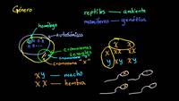 Rasgos ligados al sexo | Herencia y evolución | Biología | Khan Academy en Español