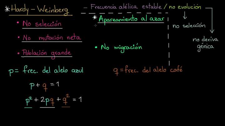 Discusiones de las condiciones para Hardy-Weinberg | Biología | Khan Academy en Español