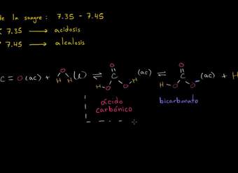 Sistema buffer Sistema buffer
