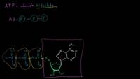 ATP: adenosín trifosfato | Energía y enzimas | Biología | Khan Academy en Español