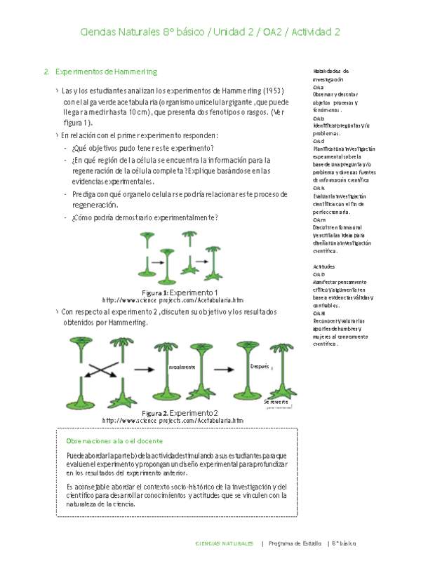 Ciencias Naturales 8° básico-Unidad 2-OA2-Actividad 2