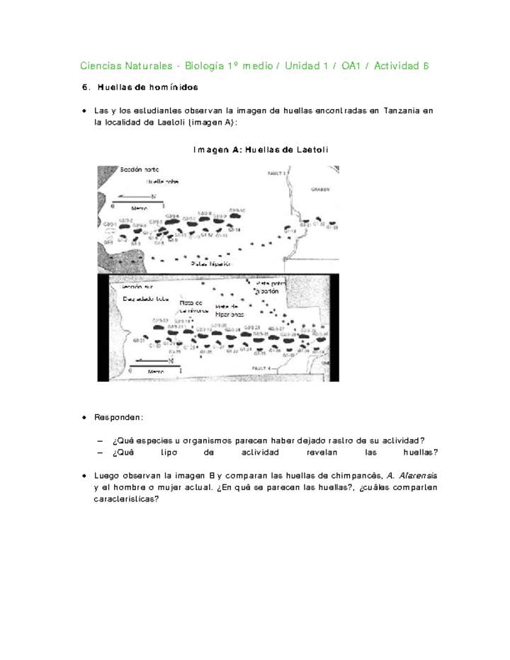 Ciencias Naturales 1 medio-Unidad 1-OA1-Actividad 6