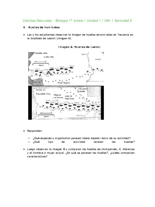 Ciencias Naturales 1 medio-Unidad 1-OA1-Actividad 6