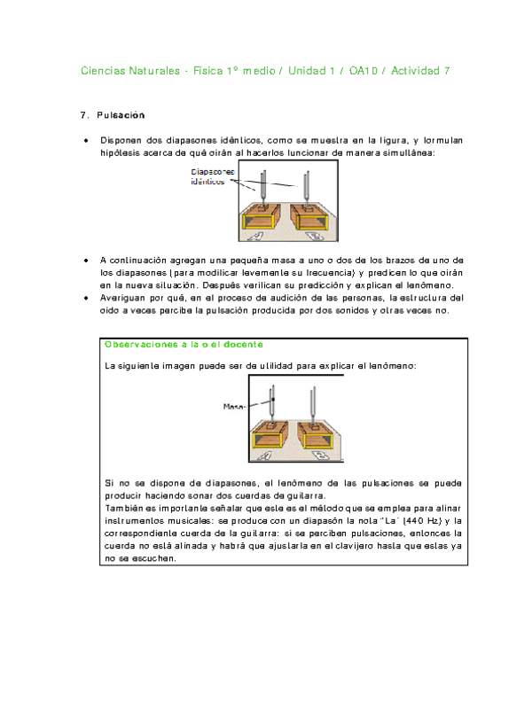 Ciencias Naturales 1 medio-Unidad 1-OA10-Actividad 7