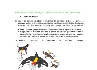 Ciencias Naturales 1 medio-Unidad 1-OA2-Actividad 1