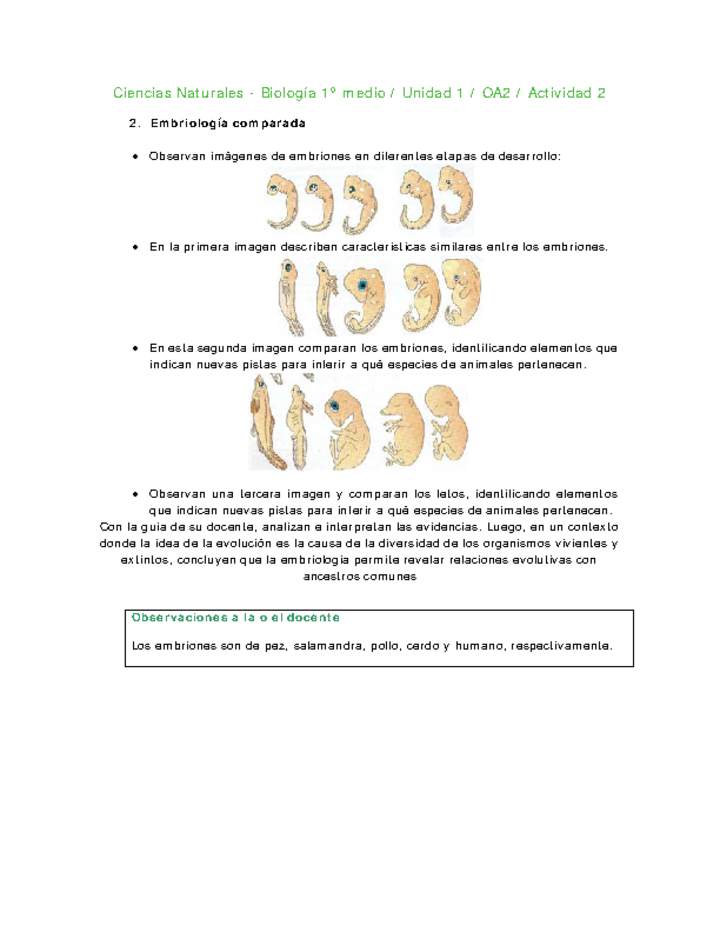 Ciencias Naturales 1 medio-Unidad 1-OA2-Actividad 2