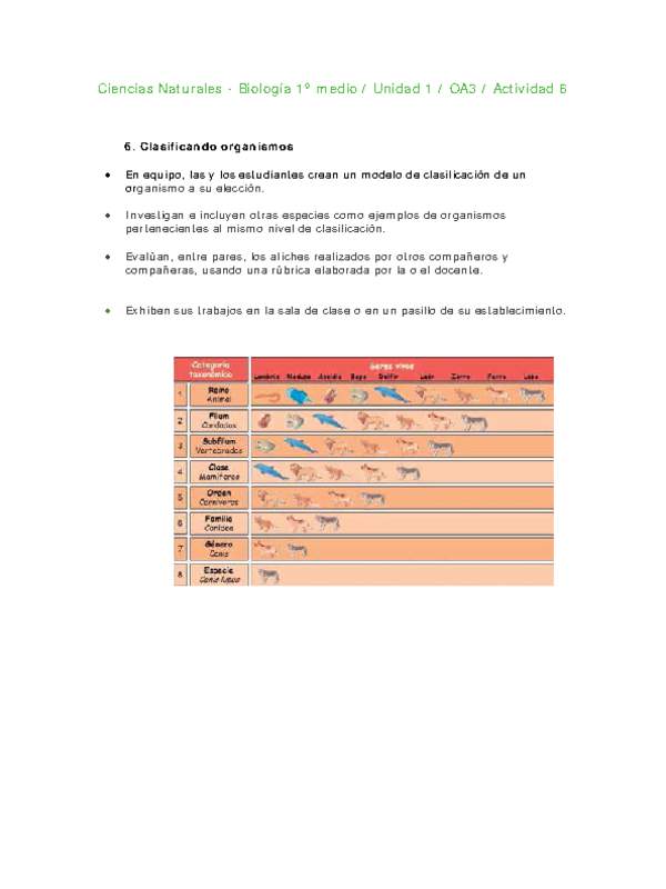 Ciencias Naturales 1 medio-Unidad 1-OA3-Actividad 6