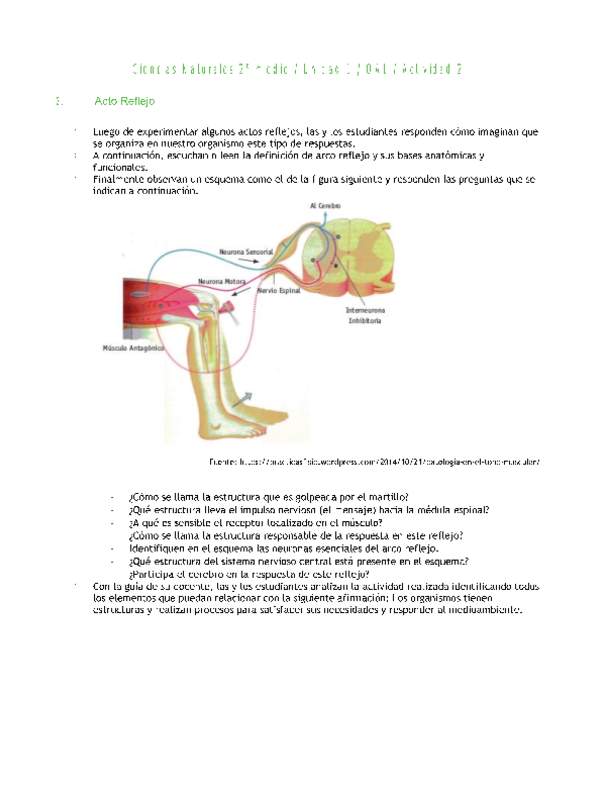 Ciencias Naturales 2 medio-Unidad 1-OA1-Actividad 2