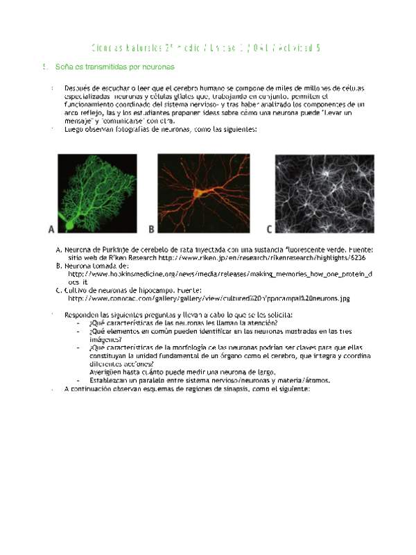 Ciencias Naturales 2 medio-Unidad 1-OA1-Actividad 5