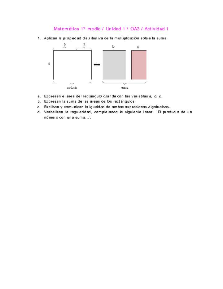 Matemática 1 medio-Unidad 1-OA3-Actividad 1