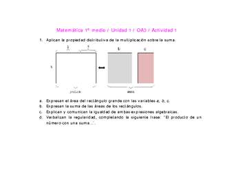 Matemática 1 medio-Unidad 1-OA3-Actividad 1