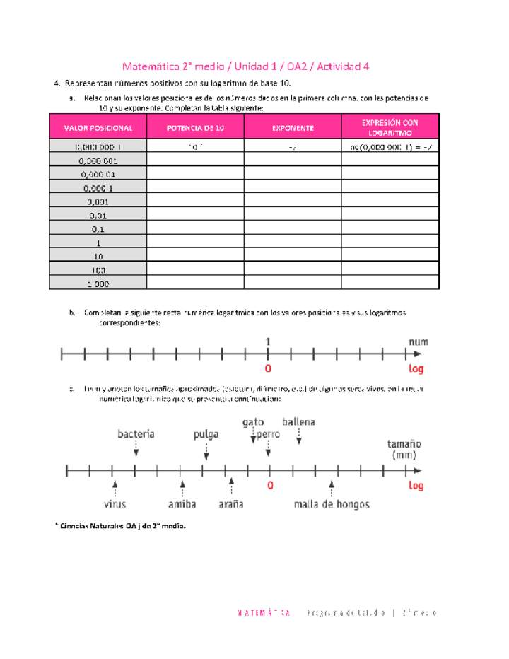 Matemática 2 medio-Unidad 1-OA2-Actividad 4