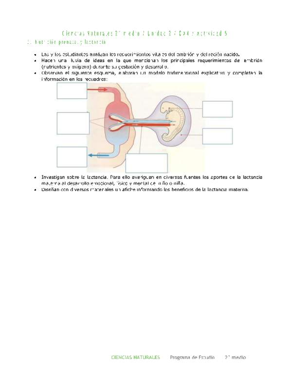 Ciencias Naturales 2 medio-Unidad 2-OA4-Actividad 5