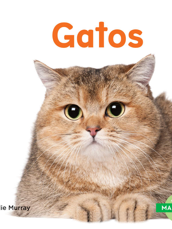 Gatos (Cats)