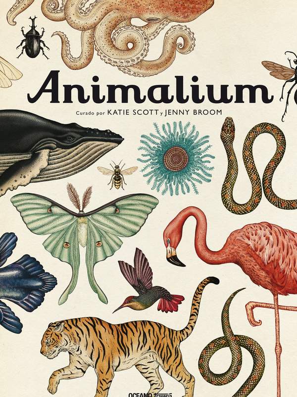 Animalium