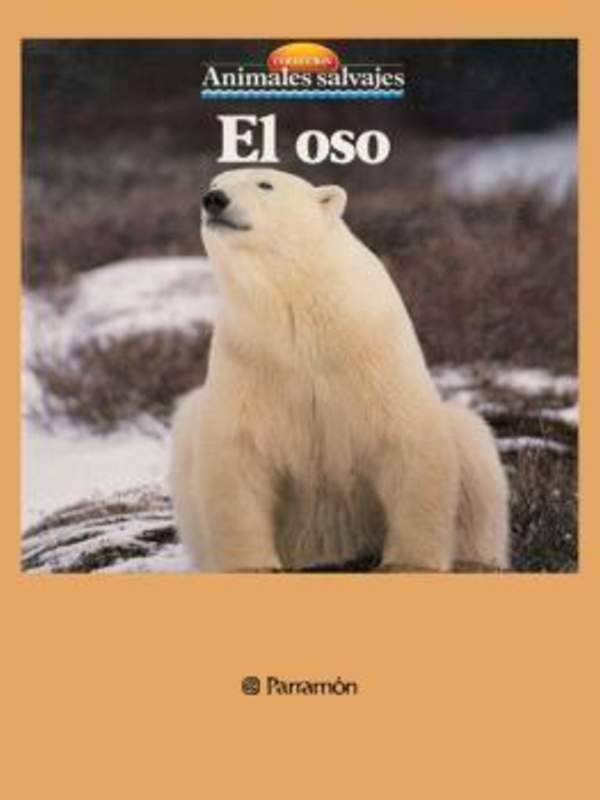 El oso