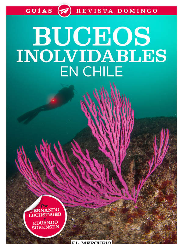 Buceos inolvidables en Chile