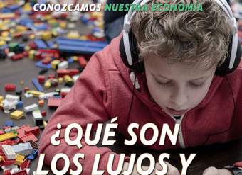 ¿Qué son los lujos y necesidades? (What Are Wants and Needs?)