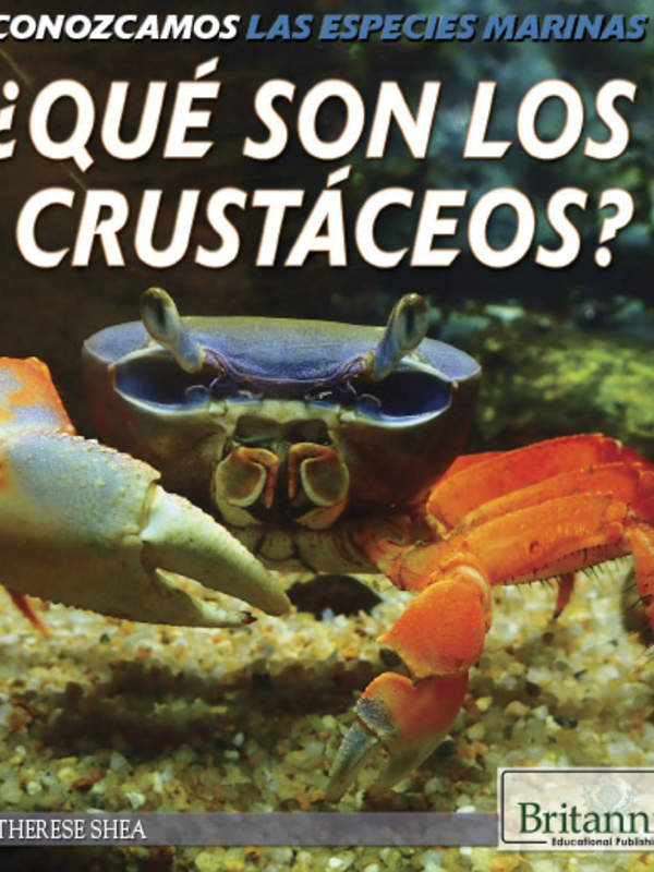 ¿Qué son los crustáceos? (What Are Crustaceans?)