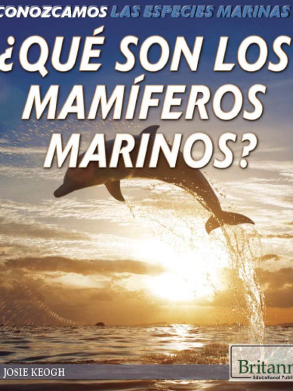 ¿Qué son los mamíferos marinos? (What Are Sea Mammals?)