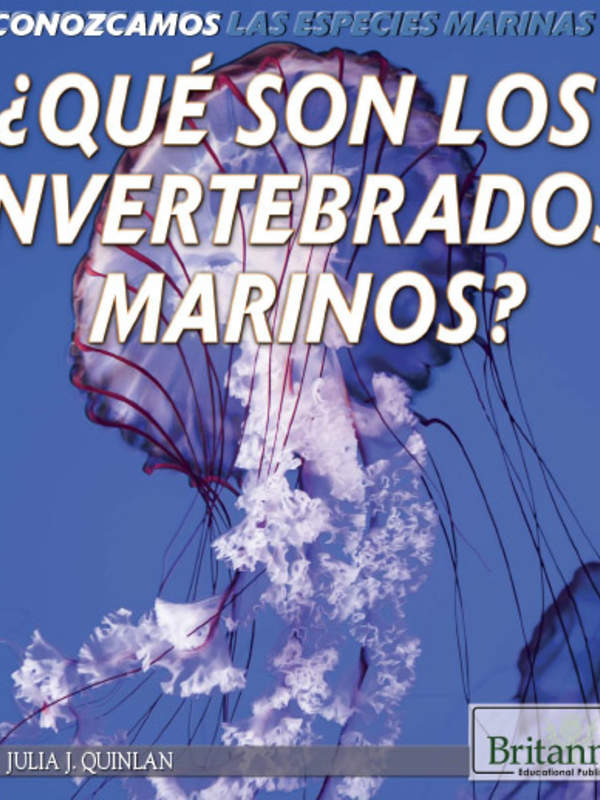 ¿Qué son los invertebrados marinos? (What Are Sea Invertebrates?)