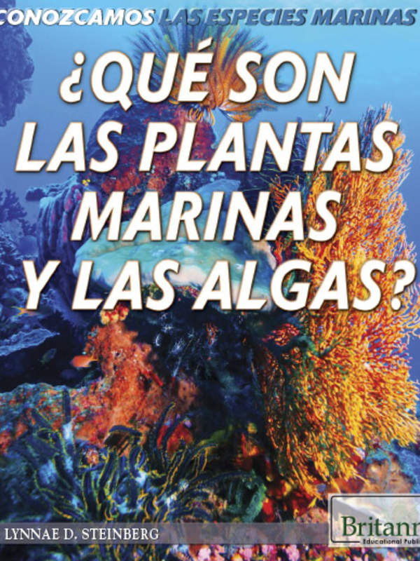 ¿Qué son las plantas marinas y las algas? (What Are Sea Plants and Algae?)