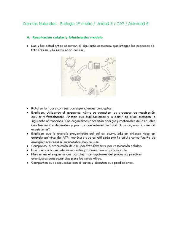 Ciencias Naturales 1 medio-Unidad 3-OA7-Actividad 6