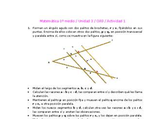 Matemática 1 medio-Unidad 3-OA9-Actividad 1