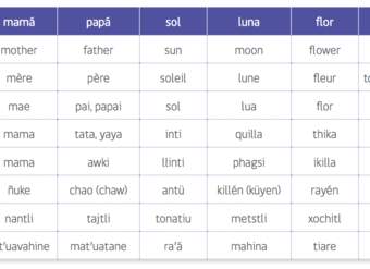 Cuadro de idiomas