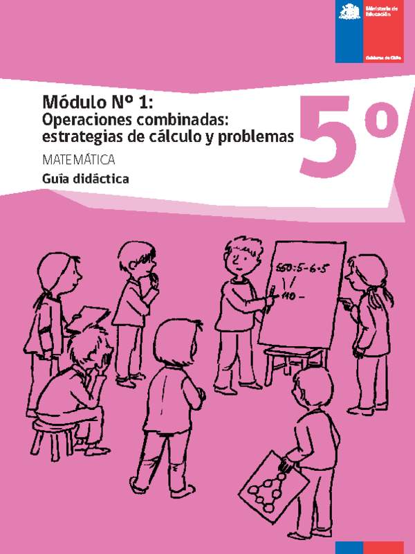 Guía didáctica: Módulo Nº 1. Operaciones combinadas: estrategias de cálculo y problemas