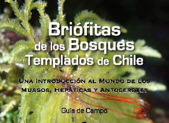 Guía de campo briófitas de los bosques templados de Chile - Una introducción al mundo de los musgos, hepáticas y antocerotes.