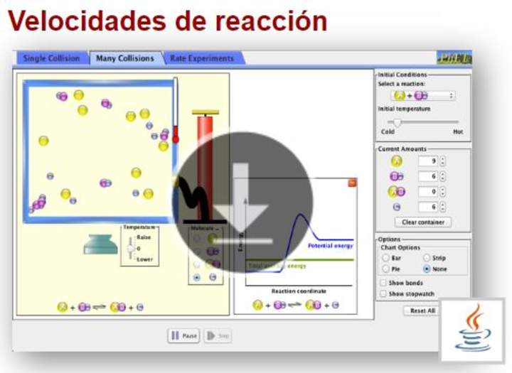 Velocidades de reacción