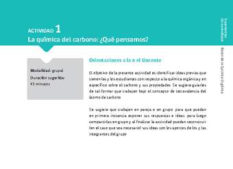 Sugerencia para el profesor: Actividad 1. La química del carbono, ¿qué pensamos?